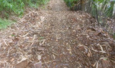 Pekerjaan JUT Di Keramat Manik Diduga Hanya Jadi Lahan Korupsi Oknum Ketua Kelompok.
