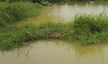 DPC GWI Pandeglang, Menyikapi Terkait Keberadaan Tambak Udang Yang Mengakibatkan Banjir Didesa Mekarsari Panimbang
