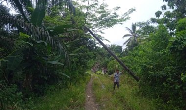 Warga Kampung Ciawi Merasa Kecewa Kepihak Pelayanan PLN Munjul Yang Tidak Tanggap Adanya Tiang Listrik Akan Roboh.