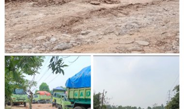 Disinyalir Galian Tanah Ilegal Di Desa Sukamanah Gunakan BBM Subsidi, Warga Resah.