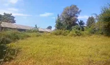 Diduga Kandang Ayam Di Desa Sukamanah Menjadi Polemik Masyarakat Sekitar.