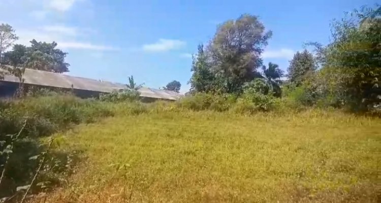 Diduga Kandang Ayam Di Desa Sukamanah Menjadi Polemik Masyarakat Sekitar.