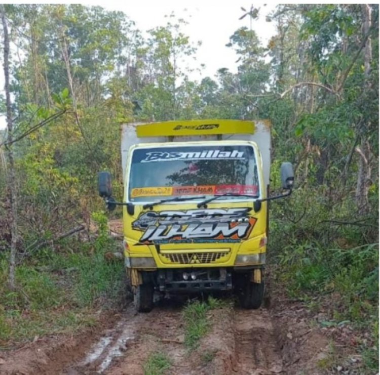Diduga Pemberitaan penebangan Liar Di Lahan Perhutani Seret Nama Oknum Dinas Adalah Hoak
