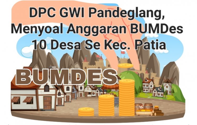 Dugaan Manipulasi Dana BUMDes Di 10 Desa Se Patia 2024-2025, DPC GWI Akan Layangkan Lapdu Ke DPMPD & APH