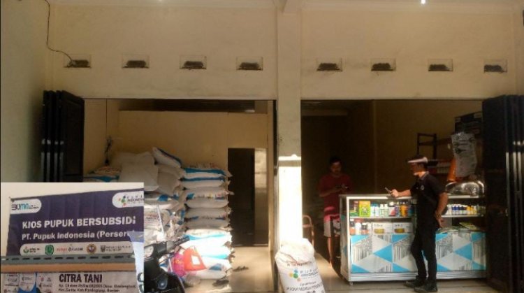 Oknum Anggota DPRD Pandeglang Komisi Dua Miliki Kios Pupuk Resmi, Jual Pupuk Subsidi Diatas HET.