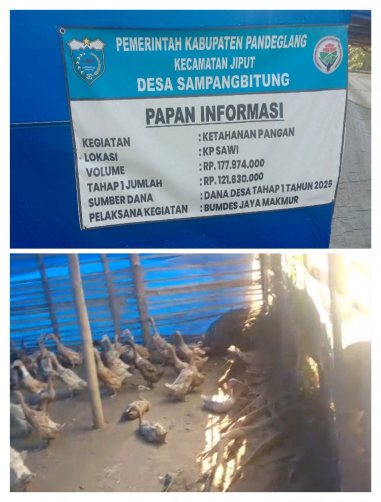GWI Akan Kawal Dugaan Ketapang Desa Sampang Bitung DD Tahap Satu, BUMdes Jaya Makmur Diduga Di Korupsi.