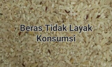 Kualitas Beras Kemasan Gudang Bulog Montor Untuk Bantuan Diduga Buruk & Tidak Sesuai, DPC GWI Minta KPM  Cek & Timbang Ulang
