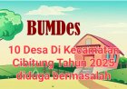 BUMDes 10 Desa Se Cibitung Diduga Dimanipulasi Neracanya, AMPM Minta BPK RI Lakukan Audit