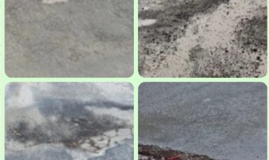 FPPK Banten Menyoal Terkait Anggaran Perawatan Jembatan & Jalan Nasional Di Wilayah Pandeglang, Diduga Tidak Direalisasikan Sejak Tahun 2024-2025