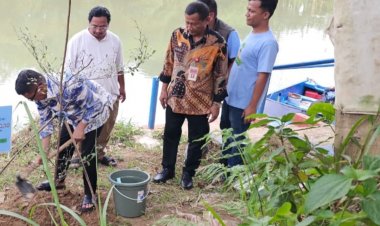 Hari Gerakan Satu Juta Pohon dan HLHN, Gerakan 'Banten Teduh,Tangerang Sejuk' Tanam 5.000 Pohon