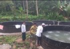 Mulai Tabur Benih Kembali, BUMDes Ciandur Kecamatan Saketi, Sukses Budidaya Ikan Nila Sitem Bioflok
