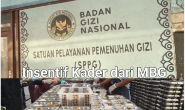 DPC AMIRA Akan Minta Klarifikasi Resmi SPPG Terkait Ramainya Isu Dugaan Penggelapan Insentif MBG, Soroti Data BNBA KPM MBG B3