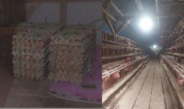 SPPG Yayasan Leuit Bumi Pertiwi Babakanlor Cikedal, Lakukan Kerjasama Dengan UMKM & BUMDes Babakanlor Untuk Suplay Tempe Juga Telur