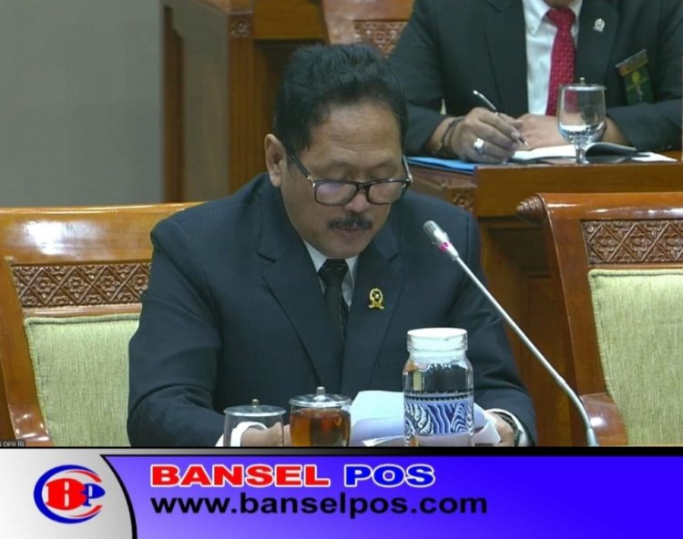 RUU Jabatan Hakim Dibahas, Soroti Independensi dan Imunitas