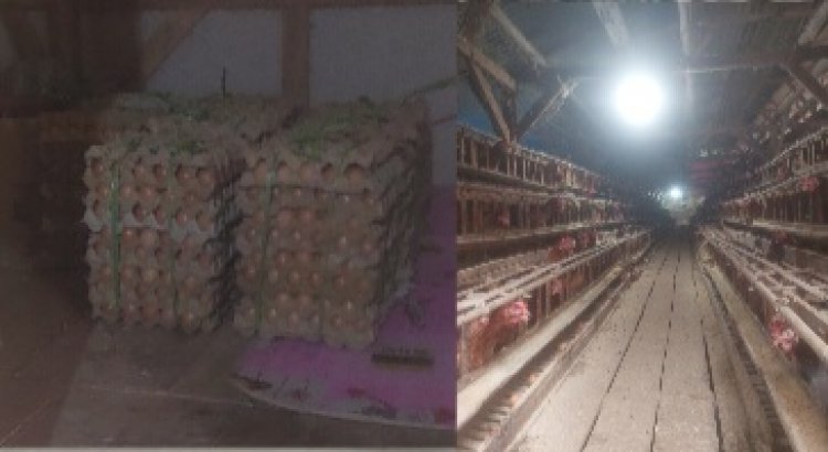 SPPG Yayasan Leuit Bumi Pertiwi Babakanlor Cikedal, Lakukan Kerjasama Dengan UMKM & BUMDes Babakanlor Untuk Suplay Tempe Juga Telur