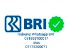 cara atasi Lupa PIN dan Pasword BRImo tanpa ke Bank solusi buka blokir akun BRImo