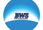 Cara Cepat Mengatasi Lupa username/Password Bank Bws Mobile