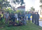 Momentum Idul adha, Kantor Kemenag Pandeglang Sembelih Sapi dan Kambing untuk Warga Sekitar