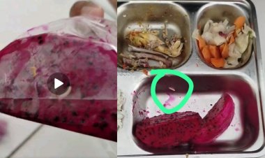 Menu MBG di SMKN 3 Pandeglang, Dari SPPG Banyubiru Diduga Berbelatung, DPC GWI Minta BGN & Satgas MBG Lakukan Evaluasi Menyeluruh
