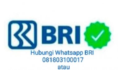 cara atasi Lupa PIN dan Pasword BRImo tanpa ke Bank solusi buka blokir akun BRImo