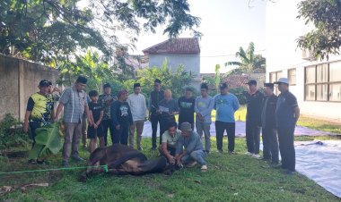Momentum Idul adha, Kantor Kemenag Pandeglang Sembelih Sapi dan Kambing untuk Warga Sekitar