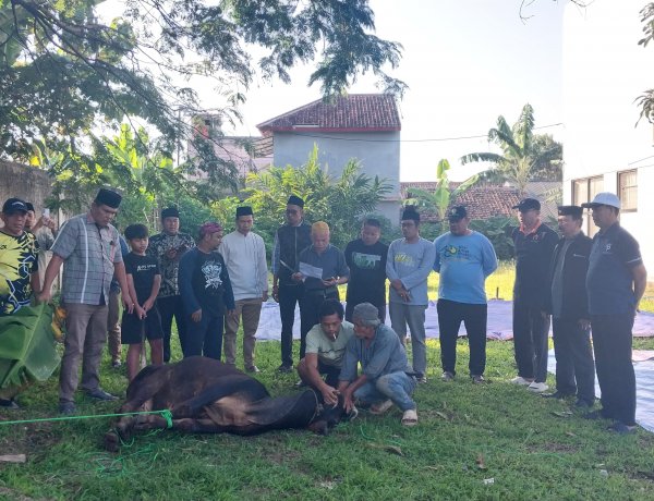 Momentum Idul adha, Kantor Kemenag Pandeglang Sembelih Sapi dan Kambing untuk Warga Sekitar