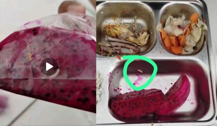 Menu MBG di SMKN 3 Pandeglang, Dari SPPG Banyubiru Diduga Berbelatung, DPC GWI Minta BGN & Satgas MBG Lakukan Evaluasi Menyeluruh