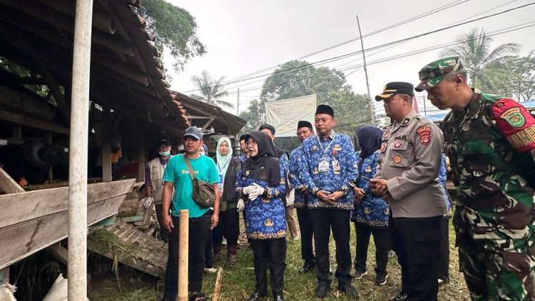 Jamin Hewan Kurban Aman, DPKP Pandeglang Perketat Pemeriksaan di 35 Kecamatan