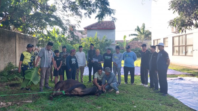 Momentum Idul adha, Kantor Kemenag Pandeglang Sembelih Sapi dan Kambing untuk Warga Sekitar