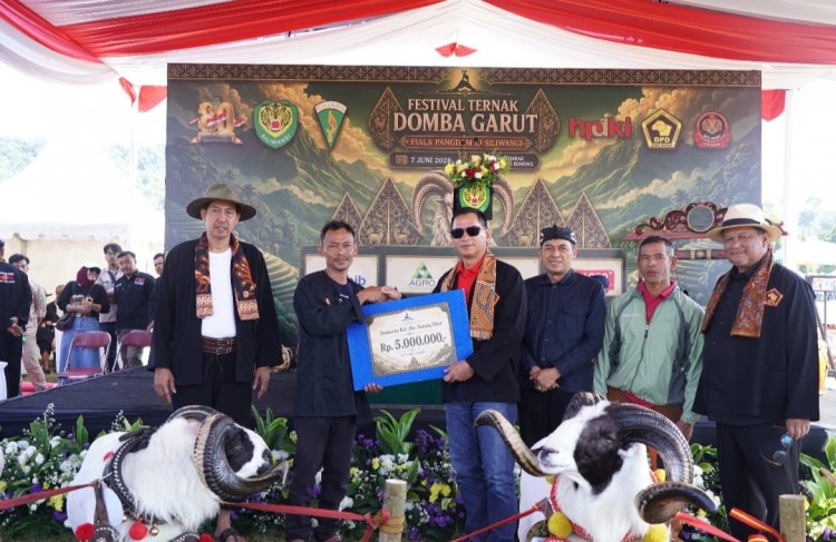 Pangdam III/Siliwangi Dukung Pelestarian Domba Garut Melalui Festival Peternak di Cimahi