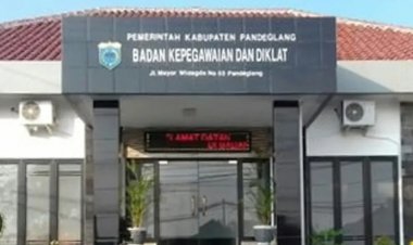 DPP GAPPIRA & DPC AMIRA Dukung Langkah Pemda Pandeglang yang Melaksanakan Seleksi JPT Pratama 2026, Untuk Pengisian Jabatan Kepala OPD yang Kosong agar Pelayanan Berjalan Optimal