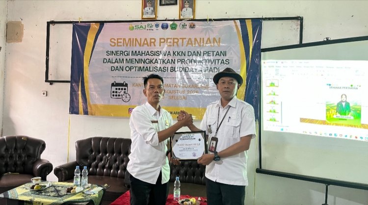 KKN UNMA Banten Kelompok 16 Laksanakan Sinergi Mahasiswa KKN dan Petani dalam Meningkatkan Produktivitas dan Optimalisasi Budidaya Padi”