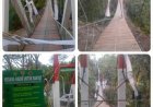 Jembatan Pongpet Miring Saat Peresmian, TNI AD Luruskan Fakta Kondisi dan Penyebabnya