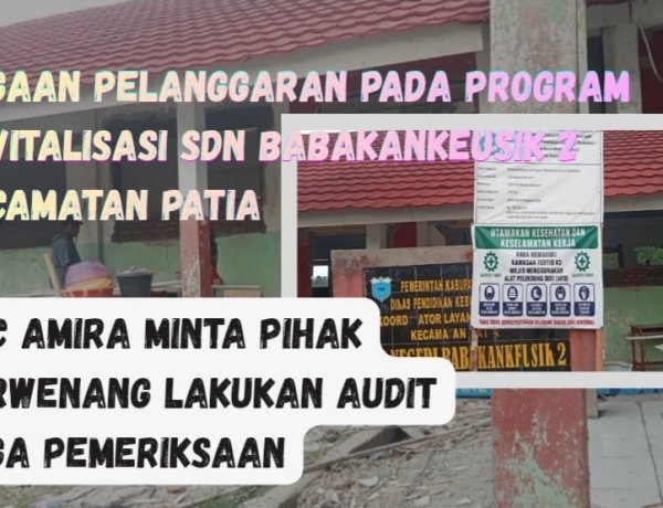 Diduga Langgar Juknis, Pelaksanaan Revitalisasi SDN Babakankeusik 02 Patia Disoal DPC AMIRA Pandeglang