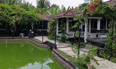 Wedding Venue Berkonsep Restoran Kini Hadir di Saung Kita Pandeglang