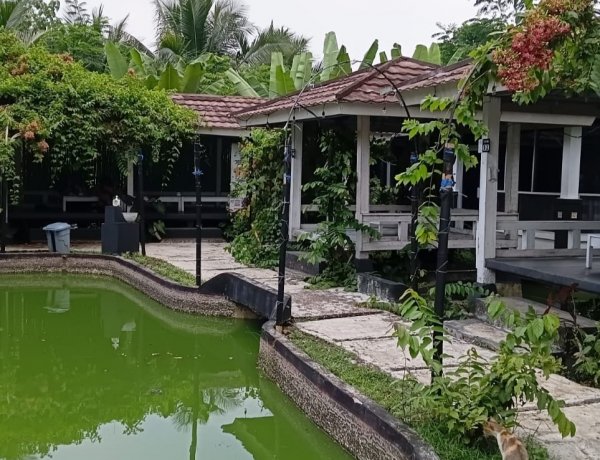 Wedding Venue Berkonsep Restoran Kini Hadir di Saung Kita Pandeglang