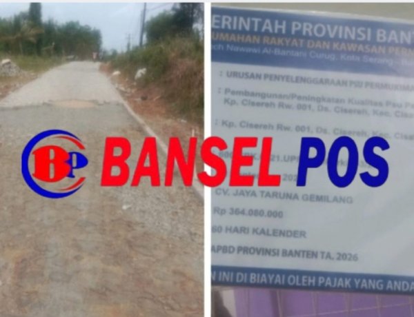 Pekerjaan Jalan Paving Block di Desa Cisereh Oleh CV. Jaya Taruna Gemilang Diduga Tidak Sesuai Juknis, DPC AMIRA Minta BPK Lakukan Pemeriksaan