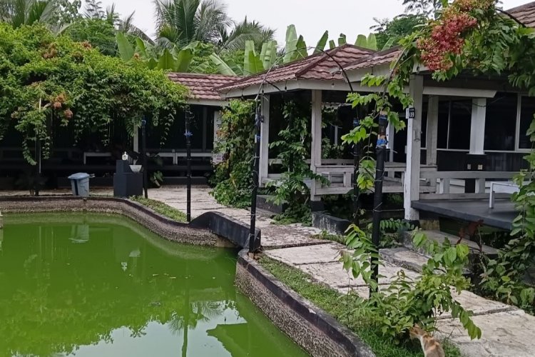 Wedding Venue Berkonsep Restoran Kini Hadir di Saung Kita Pandeglang