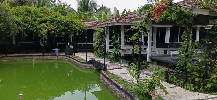 Wedding Venue Berkonsep Restoran Kini Hadir di Saung Kita Pandeglang